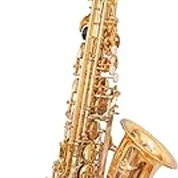 WAXWING ALTO WAS502G SAXOPHONE Eb GOLD LACQUER WITH CASE PROFESSIONAL sound-image-41