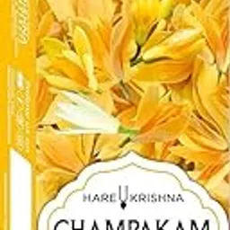 ISKCON Agarbatti | Natural Champa Flower Incense Sticks | Long-Lasting Fragrance | Ideal for Puja, Meditation, Home & Temple Use Freshness, Positive Energy & Yoga Meditation (Pack of 2)-picture-12