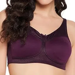 clovia Lace Women Powernet Solid Lightly Padded Full Cup Wire Free Spacer Cup Bra-picture-31