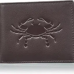 tamanna Boys Dark Brown Color Genuine Leather Money Purse (LWM00200-TM_9)-picture-23
