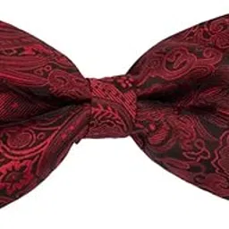 the tie hub Paisley Burgundy Microfiber Bow Tie For Men-picture-51