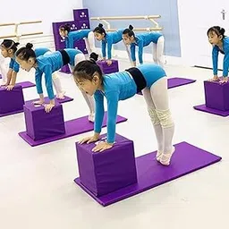 Merishopp Yoga Block Multifunctional Dance Block for Balance Training Squat Stretching Purple-picture-58