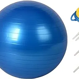 Exercise Ball Pilates Ball Training Women Men Inflator Included Back Support Blue 65cm | Balance Trainers | Fitness Equipment & Gear-picture-52