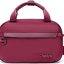 chantria Sling Bag for Women Small 1.2L Multi-functional Fashion Crossbody Bag 2 in 1 Handbag Nylon Multi-pocket Wallet for Casual Office Traveling Small Items-picture-13