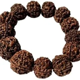 certified gems Rudraksha Bracelet for Women Men 5 Mukhi Rudraksha Bracelet Nepali Rudraksha 5 Mukhi Rudraksha Bracelet Big Size 8 Beads Rudraksha Bracelet Original Certified Rudraksha Bracelet ByCertified Gems-picture-29