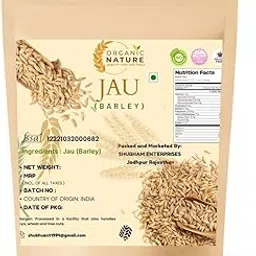 Organic Nature Raw Barley Seeds Jau (pack of 100 grams)-picture-27