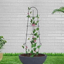 GARDEN KING Plant Supporters/Trellis for Climbing Vines and Plant Support for Indoor and Outdoor Gardening, Metal, Rust Resistant Structure (Set of 2 PCs, Black)…-picture-59