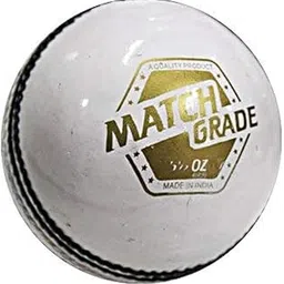 DSC Match Grade Cricket Leather Ball (White)-picture-24