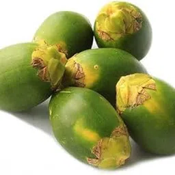 Betel Nut Tree Live Plant | Areca Catechu Sapling for Yard - Areca Nut Live Plant | Betel Nut Tree for Decoration Pack Of 1-picture-10