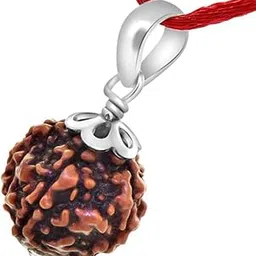 srt rudra 5 Mukhi Rudraksha Original Certified 5 Face Rudraksha with Silver Capping 5 Mukhi Rudraksha Nepali Beads Blessed By Lord Shiva Panchmukhi Rudraksha Original 5 Mukhi Rudraksha Pendant-picture-33