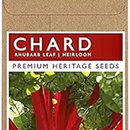VibeX® Fast Germination Swiss Chard Rhubarb Leaf Seeds(125 Seeds) image 1