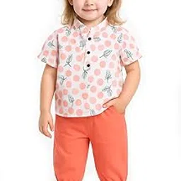 bold n elegant Floral Embroidered Cotton Sleeveless Ruffle Top and Shorts Clothing Set for Infant Toddler Baby Girl-picture-37