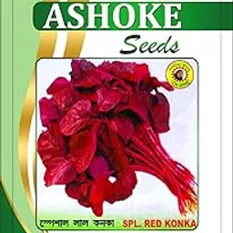 ASHOKE Seeds Spinach Seeds Red Spinach Seeds Lal Sakh Laal Saag for Home Kitchens Gardens Farms Roof Top Balcony Terrace Gardening (1000 seeds per packet)-picture-23