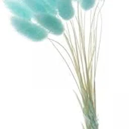 ATORSE 2xNatural Dried Flowers Bouquets Rabbit Tail Grass DIY Stems Decor Blue|Home & Garden|Home D?©cor|Floral D?©cor-picture-53