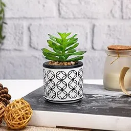 SATYAM KRAFT 1 Pcs Small Ceramic Miniature Artificial Flower Potted Flower for Home & Office Décor | Small Artificial Flower Succulent for Living Room,Window Ledge, Kitchen,Bedroom, Wedding-image-55