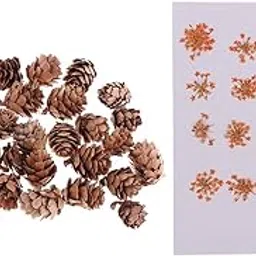 Enakshi® 16 Pcs Dried Pressed Dried Flowers+30 Pcs Real Natural Small Pine Cones|Crafts | Handcrafted & Finished Pieces | Home D©cor & Accent | Other Handcrafted Home Accents-image-70