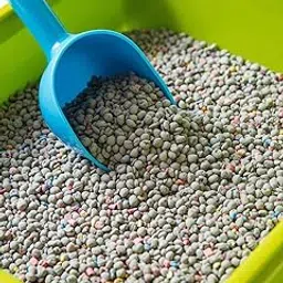PawJoy Scented Cat Litter – 5kg | Super Fast Clumping, Odor Control, Fresh Citrus Fragrance, Low Dust Formula-image-1
