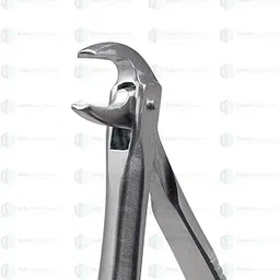 IS IndoSurgicals Lower Molars #73 Dental Extraction Forceps-image-91