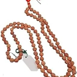 Dharmsaar Natural 6 Face Brown Rudraksha Beads Mala For Men Women,Six Faced Rudraksha Beads Japa Mala For Astrology Pooja,6 Mukhi Rudraksha Original Certified Nepali Mala-picture-29