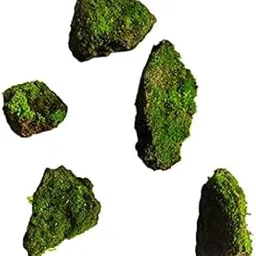 7 Hill's Natural Living Moss Stones, Lichen Rock for Miniature Garden, Aquarium, Terrarium (Set of 5)-picture-45