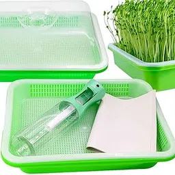 Zyvola Indoor Garden Seed Starter Kit: Grow Vegetables, Herbs & Flowers with Transparent Germination Trays, Nursery Pots & Spray Bottle-picture-47