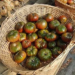 Zomoloco_� Organic Seeds Non-GMO Open-Pollinated Purple Tomato Seeds_l1320(250per packet)-picture-13