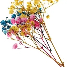 VELURA Pressed Leaves Natural Dried Flowers Scrapbooking Cards Making Multi|1 Bag Dried Flowers Leaves| Dried Flowers|Crafts-picture-22