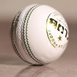 Peecock International White Club Ball Cricket Leather Ball (Standard, Pack of 1, White)-picture-35