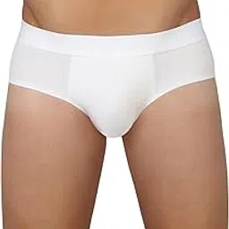 van heusen Men's Modal Classic Solid Briefs-picture-43