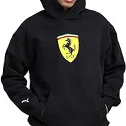 puma Men Hoodies-picture-13