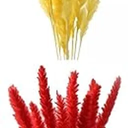 MERISHOPP®Set of 30 Dried Pampas Grass Phragmites Reed Flower Bunch Home Table Décor|Home & Garden|Home Décor|Floral Décor-picture-16