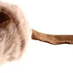 GiGwi Melody Chaser Cat Toy, Motion-Activated Cat Toy with Realistic Sounds, Encourages Stalking, Pouncing, Batting, Active Play, Exercise, Stimulates Hunting Instincts in Kittens, Cats (Mouse)-picture-62