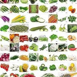 FLARE SEEDS India's No.1 Vegetable Seeds, Winter, Summer, Home Garden, Seeds Bank, Organic 65 Seeds Combo-picture-19