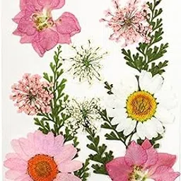 bnf® 2xPressed Dried Flowers Real Leaves for DIY Jewelry Resin Crafts Pink | Dried Flowers | Dried Botanicals & Potpourri | Floral Crafts | Home Arts & Crafts-picture-11