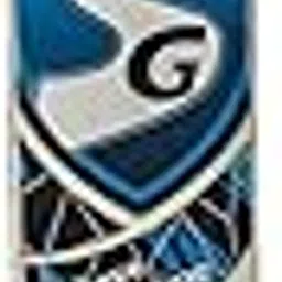 SG Phoenix Xtreme Kashmir Willow Cricket Bat ( Size: Short Handle,Leather Ball )-picture-30