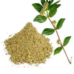 Zone Marketing Organic Amman Pacharichi Powder /அம்மான் பச்சரிசி பவுடர் /Snake Weed Powder -100gm-picture-32