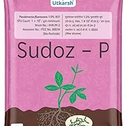 Utkarsh Sudoz-P (Pseudomonas Fluorescens 1.0% W.P. CFU Count: 1 x 10^8 / gm. min.) for Plants, Crops and Home Gardening (250 gm; Pack of 1)-picture-12