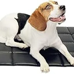 Luxurious Durable Waterproof High-Density PVC Material Cotton Inside Indoor/Outdoor Travel Pet Bed for Puppy/Cats/Dog Bed (Large Black)-picture-13