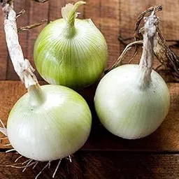 Golden Hills Farm Hybrid Onion Seeds - Onion White Seeds 300 seeds-picture-12