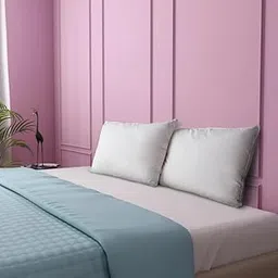 Hush Natural Down and Feather Pillow | 20 x 32 Inches (Down 70%, Feather 30%)-picture-47