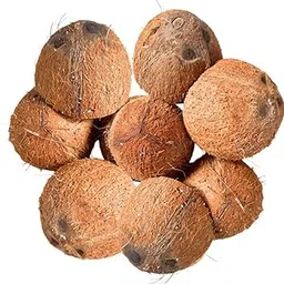 Natural Coconut Shells from Kerala, 50 Pieces, for Cooking, Charcoal Making, Gardening, and Crafting-picture-37