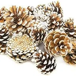Natural Pine Cones for Christmas Tree Decoration (Pack of 12) - Brown Wooden Hanging Pinecones-picture-27