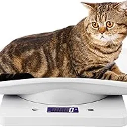 FASJ Small Animal Scale, Digital Pet Scale for Hamsters, Parrots, Cats & Dogs, 10kg Capacity, 1g Accuracy, White-picture-30