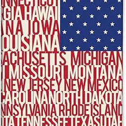 nutcase Designer Passport Cover Holder for Travel - Flag of The United States-picture-24