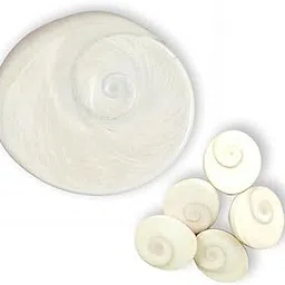 Traditional Gomati Chakra, White Round Spiral Design, Large Size 4.5x4cm with Small Size 5 pcs for Religious Ceremonies and Puja Rituals-picture-21