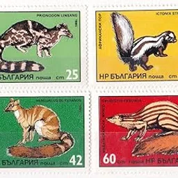 Bulgaria 1985 MNH Stamps Predatory Animal Fauna Theme-picture-27