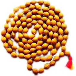 A.P. Retail Putrajeevak mala 108+1 Bads Standard Quality Putrajeeva mala Pure Putrajeeva Seeds-picture-31
