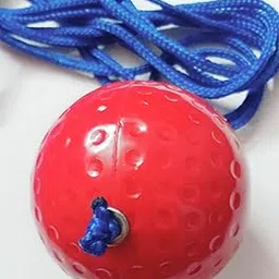 PVC Hard Cricket Practice and Hanging Ball (1)-picture-33