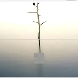 GADGETSWRAP Laptop Decal Vinyl Sticker Top Only Compatible with Surface Pro 4 - Isolation II-image-87