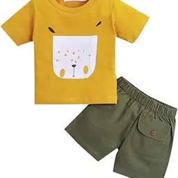 hopscotch Boy's Poplin Printed Graphic Print T-Shirt And Shorts Set-picture-17